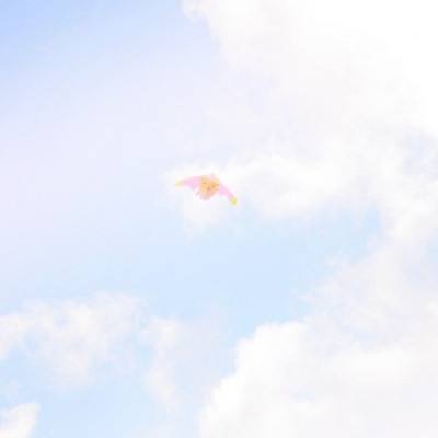 坦克连竞技版最新版下载